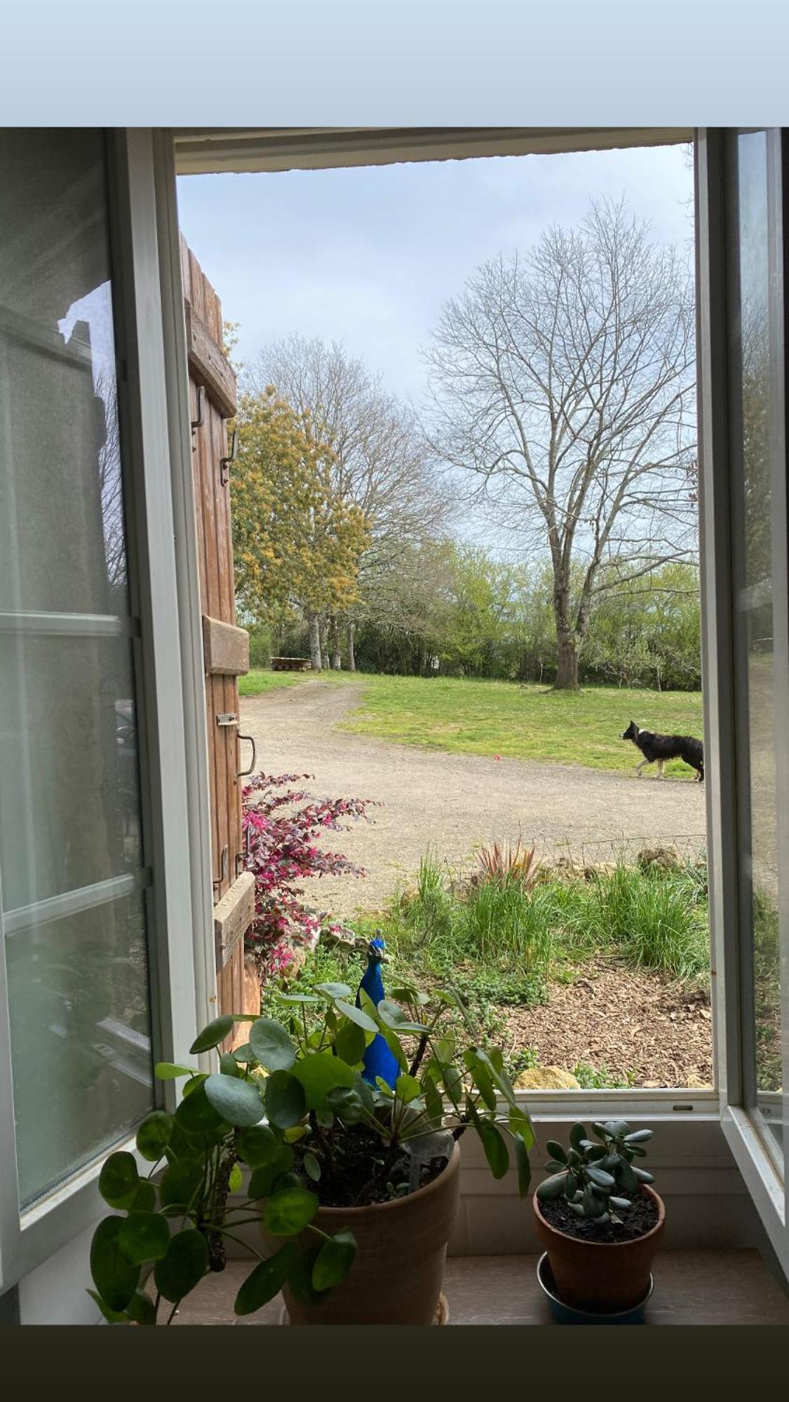 Armous-et-Cau La Bastide Bed & Breakfast エクステリア 写真